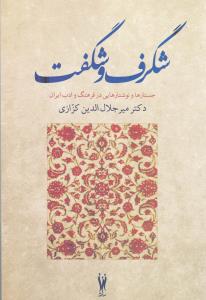 شگرف و شگفت : جستارها و نوشتارهایی در فرهنگ و ادب ایران